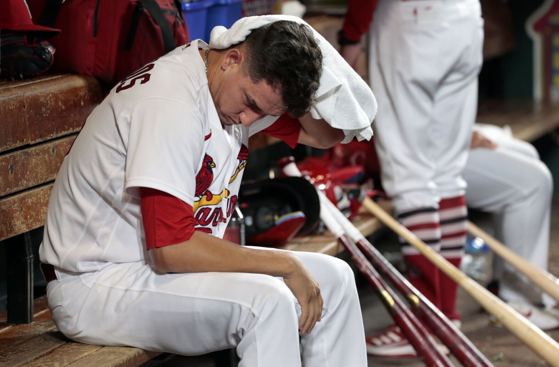 Cardinals, Nats at Busch